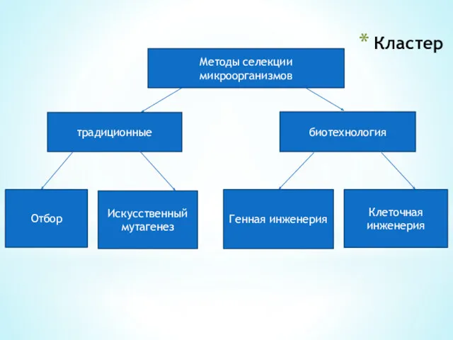 Кластер Методы селекции микроорганизмов традиционные биотехнология Отбор Искусственный мутагенез Генная инженерия Клеточная инженерия