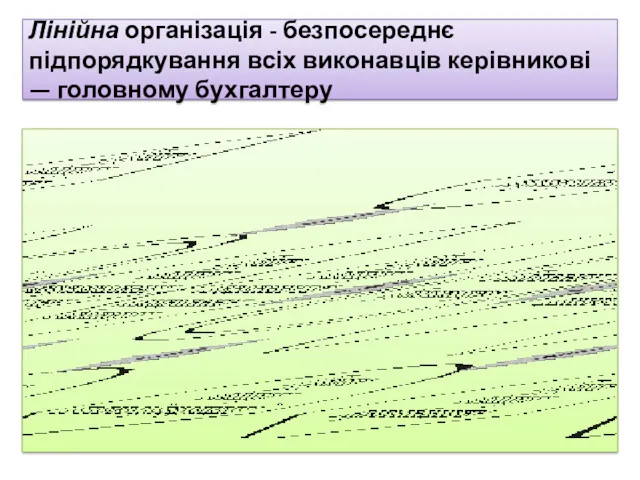 Лінійна організація - безпосереднє підпорядкування всіх виконавців керівникові — головному бухгалтеру