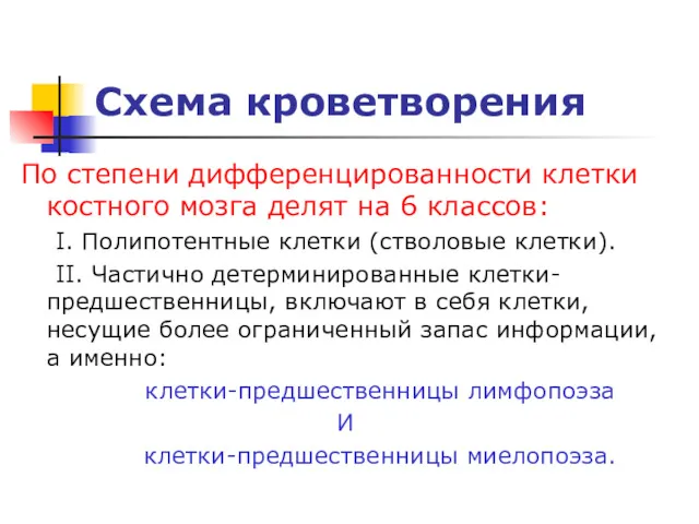 Схема кроветворения По степени дифференцированности клетки костного мозга делят на