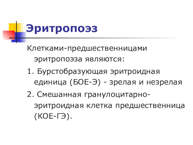 Эритропоэз Клетками-предшественницами эритропоэза являются: 1. Бурстобразующая эритроидная единица (БОЕ-Э) -