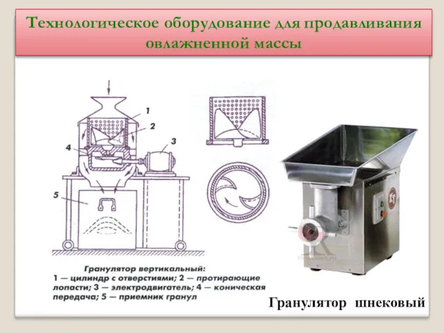 Технологическое оборудование для продавливания овлажненной массы Гранулятор шнековый