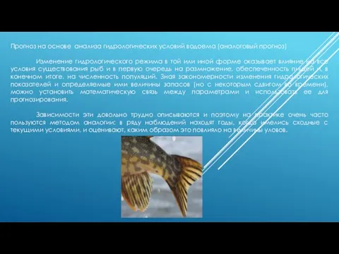 Прогноз на основе анализа гидрологических условий водоема (аналоговый прогноз) Изменение