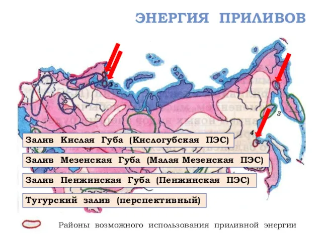 ЭНЕРГИЯ ПРИЛИВОВ Залив Кислая Губа (Кислогубская ПЭС) Залив Мезенская Губа