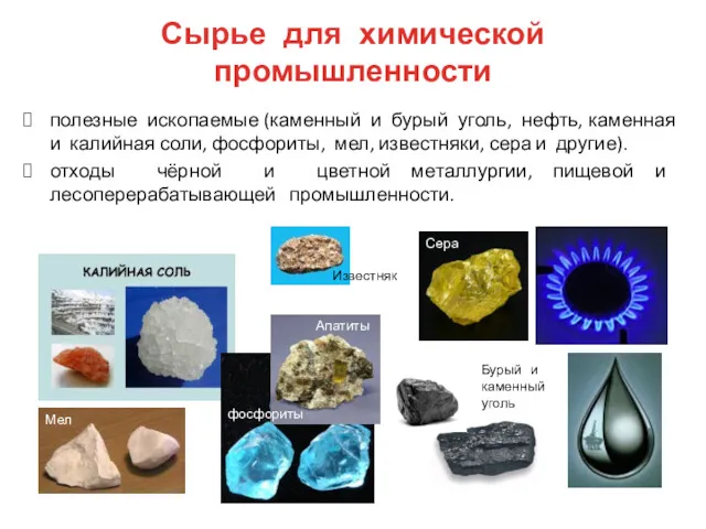 полезные ископаемые (каменный и бурый уголь, нефть, каменная и калийная