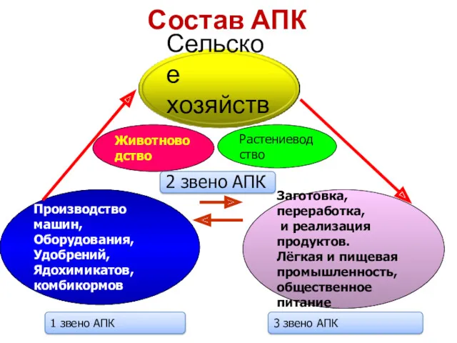 Состав АПК Животноводство Растениеводство 2 звено АПК Производство машин, Оборудования,
