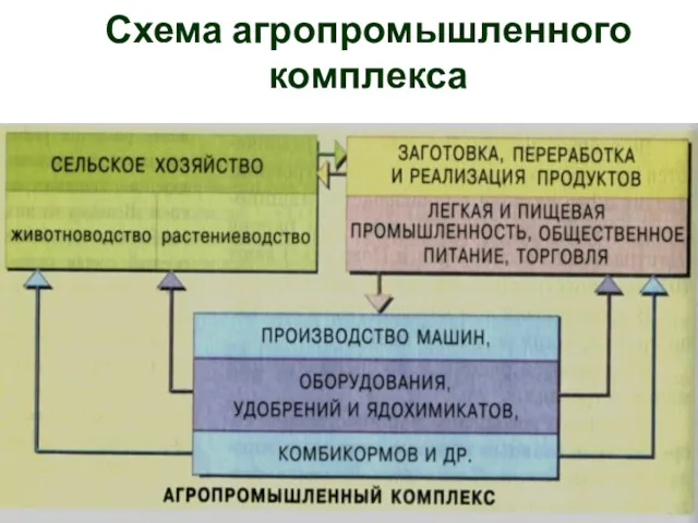 Схема агропромышленного комплекса