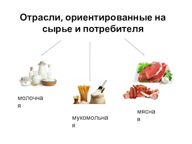 Отрасли, ориентированные на сырье и потребителя молочная мукомольная мясная