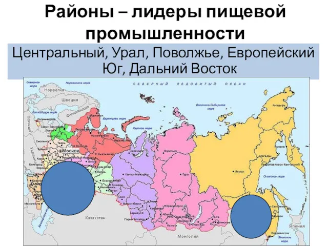 Районы – лидеры пищевой промышленности Центральный, Урал, Поволжье, Европейский Юг, Дальний Восток