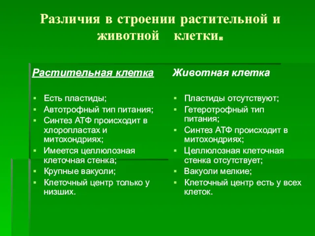 Различия в строении растительной и животной клетки. Растительная клетка Есть