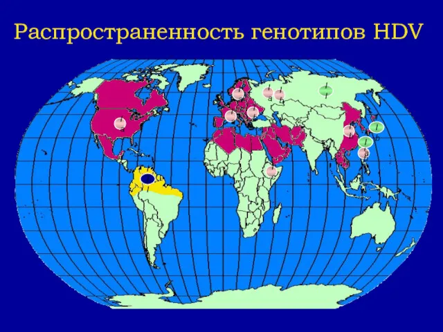 Распространенность генотипов HDV IIb IIa III Ic II Ia Ib