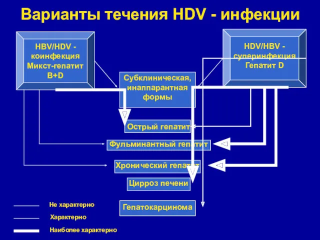 Варианты течения HDV - инфекции Острый гепатит Фульминантный гепатит Хронический