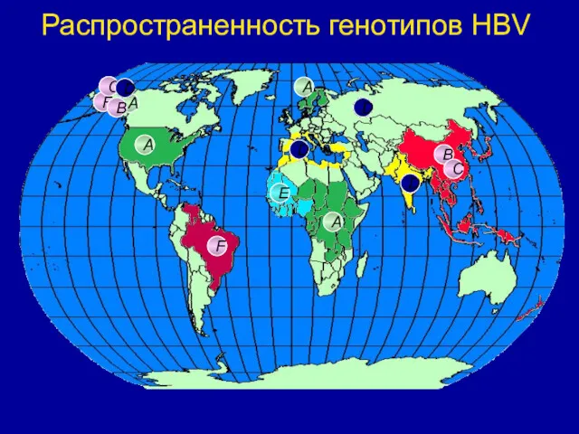 Распространенность генотипов HBV A A A B C D D