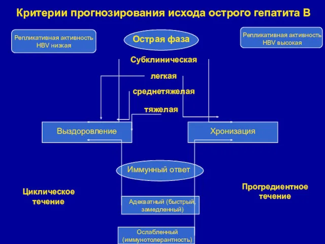 Критерии прогнозирования исхода острого гепатита В Репликативная активность HBV низкая Прогредиентное течение Циклическое