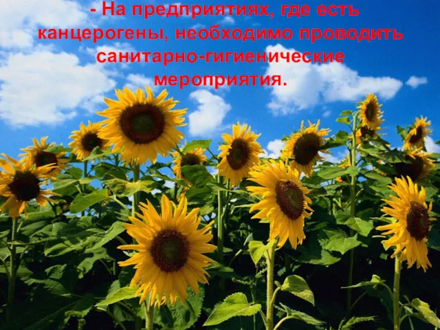 - На предприятиях, где есть канцерогены, необходимо проводить санитарно-гигиенические мероприятия.