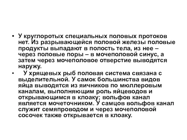 У круглоротых специальных половых протоков нет. Из разрывающейся половой железы