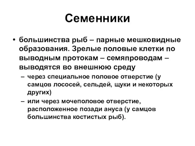 Семенники большинства рыб – парные мешковидные образования. Зрелые половые клетки