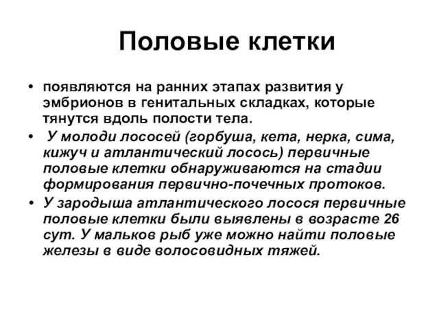 Половые клетки появляются на ранних этапах развития у эмбрионов в