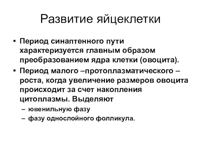 Развитие яйцеклетки Период синаптенного пути характеризуется главным образом преобразованием ядра