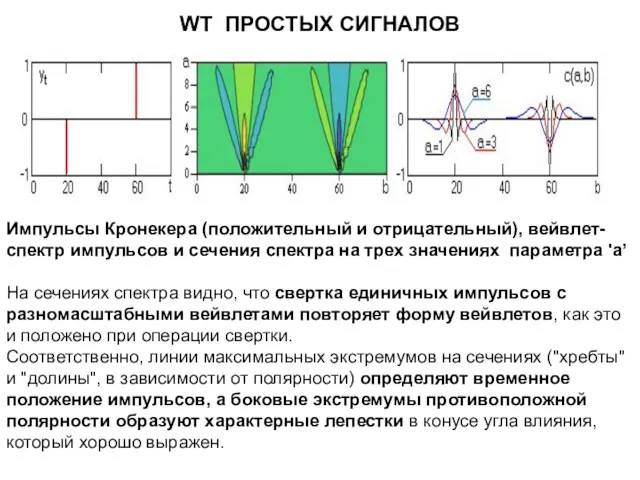WT ПРОСТЫХ СИГНАЛОВ Импульсы Кронекера (положительный и отрицательный), вейвлет-спектр импульсов