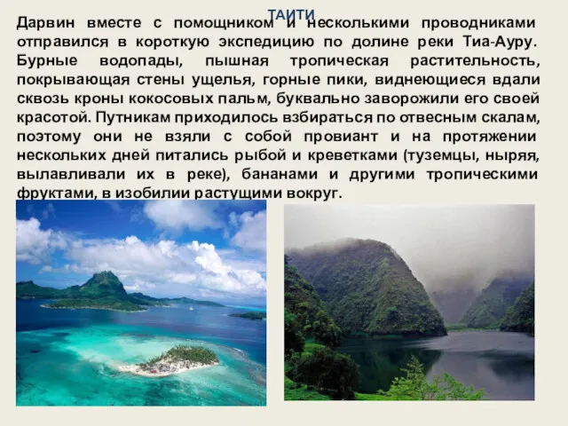 ТАИТИ Дарвин вместе с помощником и несколькими проводниками отправился в