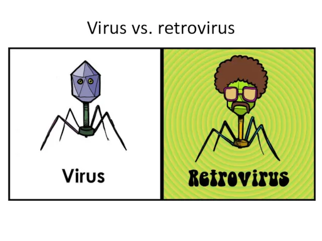 Virus vs. retrovirus