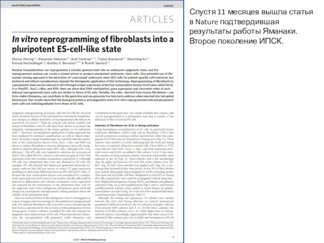 Спустя 11 месяцев вышла статья в Nature подтвердившая результаты работы Яманаки. Второе поколение ИПСК.