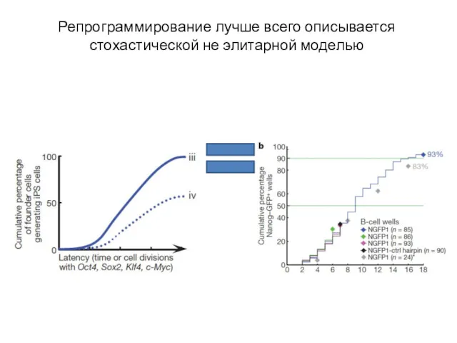 Репрограммирование лучше всего описывается стохастической не элитарной моделью