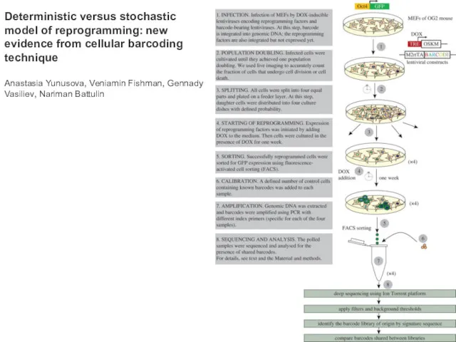 Deterministic versus stochastic model of reprogramming: new evidence from cellular