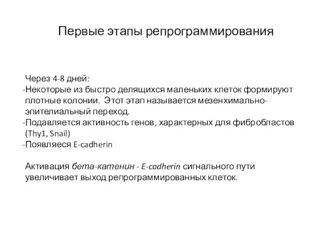 Первые этапы репрограммирования Через 4-8 дней: Некоторые из быстро делящихся