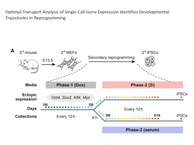 Optimal-Transport Analysis of Single-Cell Gene Expression Identifies Developmental Trajectories in Reprogramming