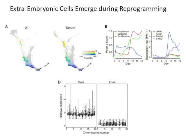 Extra-Embryonic Cells Emerge during Reprogramming