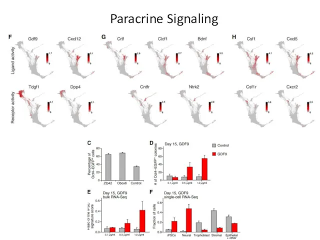 Paracrine Signaling