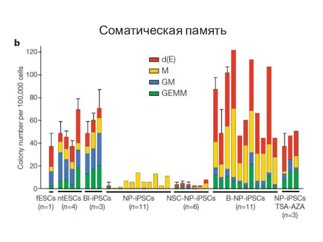 Соматическая память