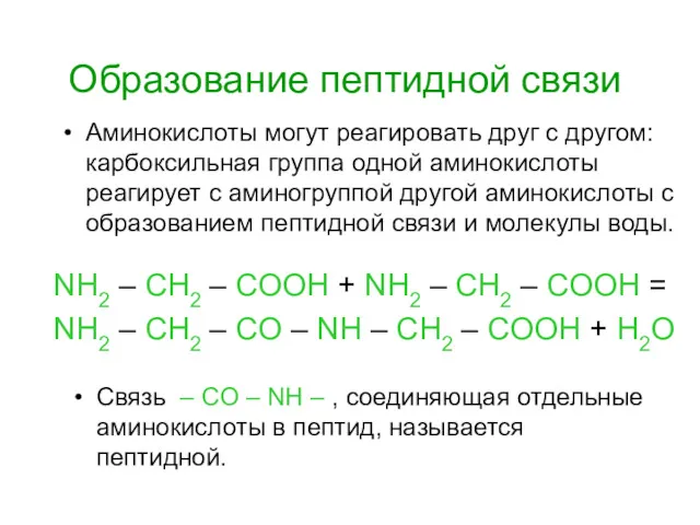 Образование пептидной связи NH2 – CH2 – COOH + NH2