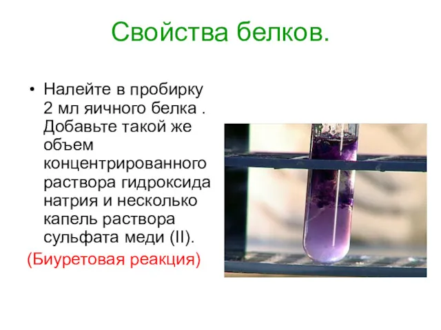 Свойства белков. Налейте в пробирку 2 мл яичного белка .