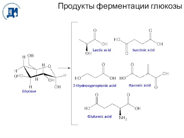 Продукты ферментации глюкозы