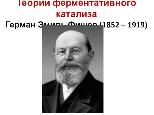 Теории ферментативного катализа Герман Эмиль Фишер (1852 – 1919)