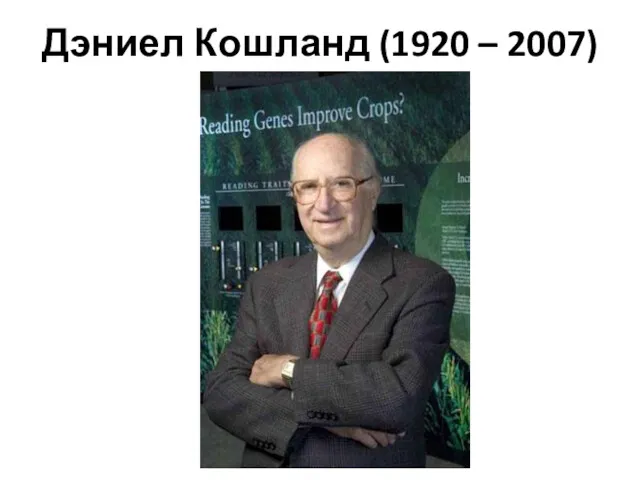 Дэниел Кошланд (1920 – 2007)