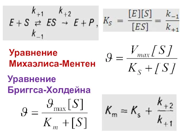 Уравнение Михаэлиса-Ментен Уравнение Бриггса-Холдейна