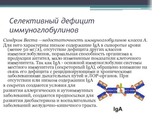 Селективный дефицит иммуноглобулинов Синдром Веста —недостаточность иммуноглобулинов класса А. Для