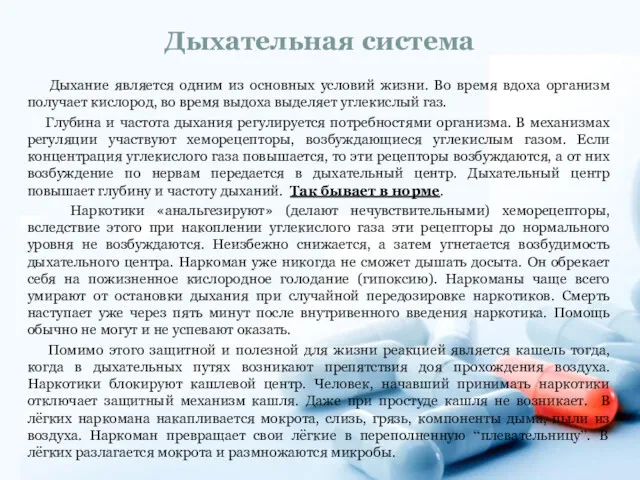 Дыхательная система Дыхание является одним из основных условий жизни. Во