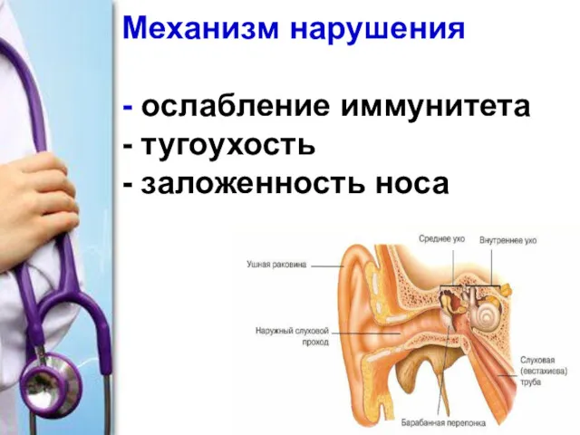 Механизм нарушения - ослабление иммунитета - тугоухость - заложенность носа