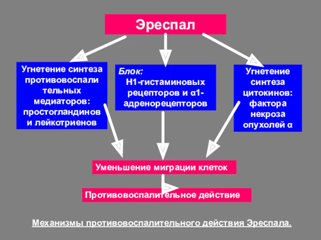 Эреспал Угнетение синтеза противовоспали тельных медиаторов: простогландинов и лейкотриенов Угнетение