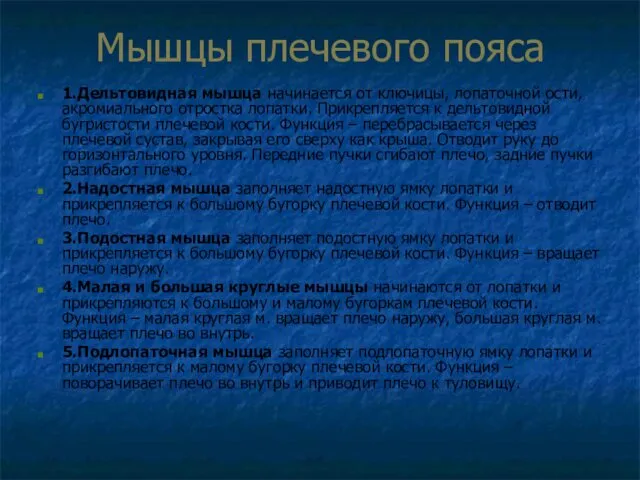 Мышцы плечевого пояса 1.Дельтовидная мышца начинается от ключицы, лопаточной ости, акромиального отростка лопатки.