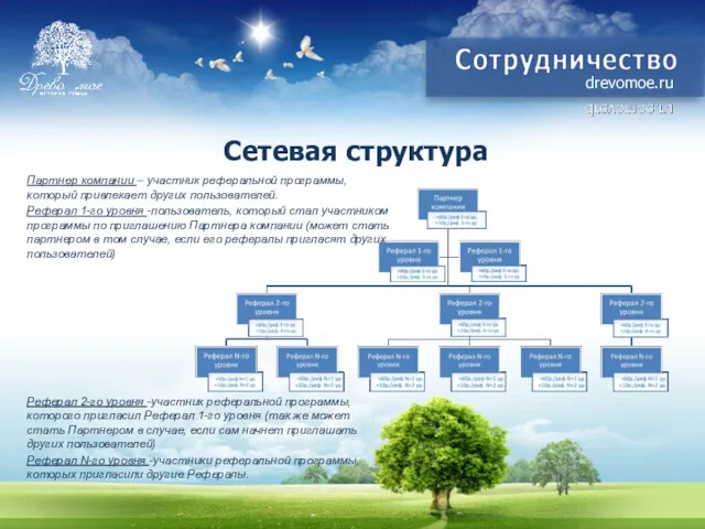 Сетевая структура drevomoe.ru Партнер компании – участник реферальной программы, который