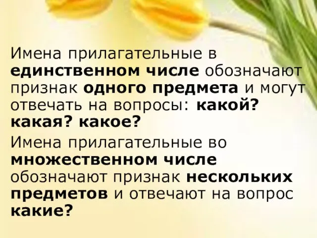 Имена прилагательные в единственном числе обозначают признак одного предмета и