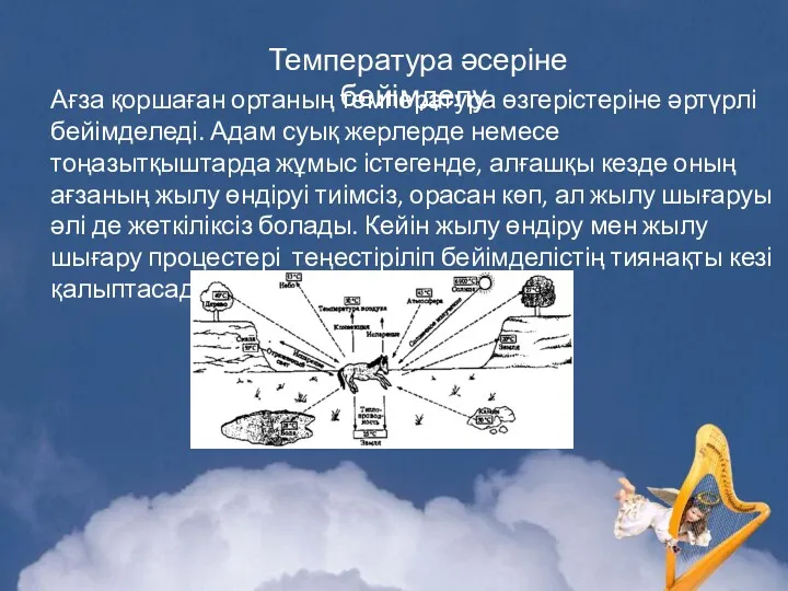 Температура әсеріне бейімделу. Ағза қоршаған ортаның температура өзгерістеріне әртүрлі бейімделеді.