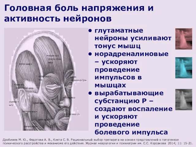 Головная боль напряжения и активность нейронов глутаматные нейроны усиливают тонус