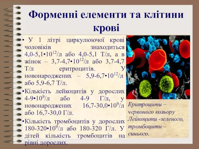 Форменні елементи та клітини крові У 1 літрі циркулюючої крові