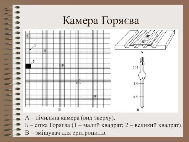 Камера Горяєва А – лічильна камера (вид зверху). Б –